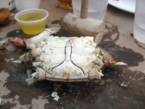 Penis Crab 47